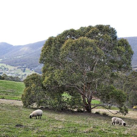 House On The Hill Bed And Breakfast Huonville Luaran gambar